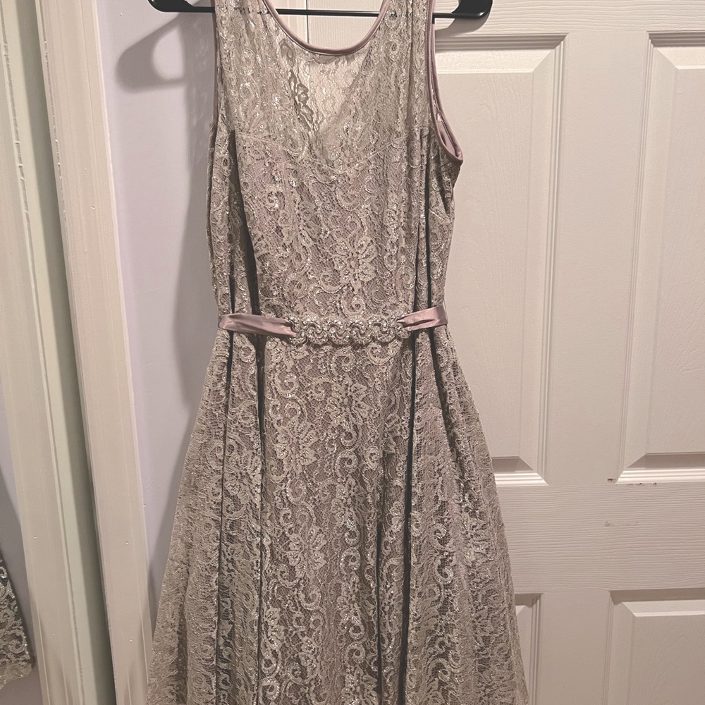 Betsy & Adam Silver Shimmery Metallic Foil Lace Overlay Luxe Dress Sz 18W